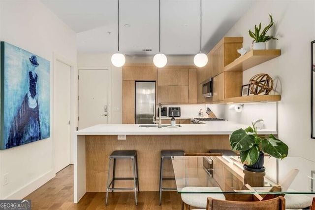 1055 Piedmont Avenue NE 207, Atlanta, GA 30309