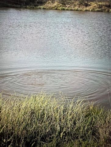 19774 FM 47, Wills Point, TX 75169
