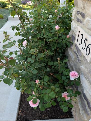 1356 Angus Trail, Lexington, KY 40509
