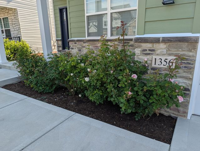 1356 Angus Trail, Lexington, KY 40509