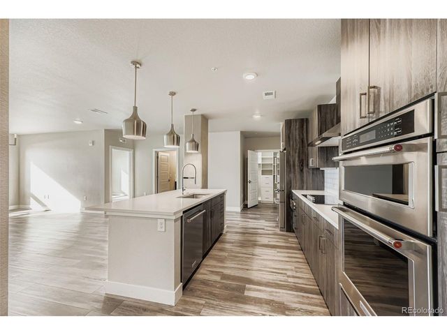 20 Wilcox St 308, Castle Rock, CO 80104