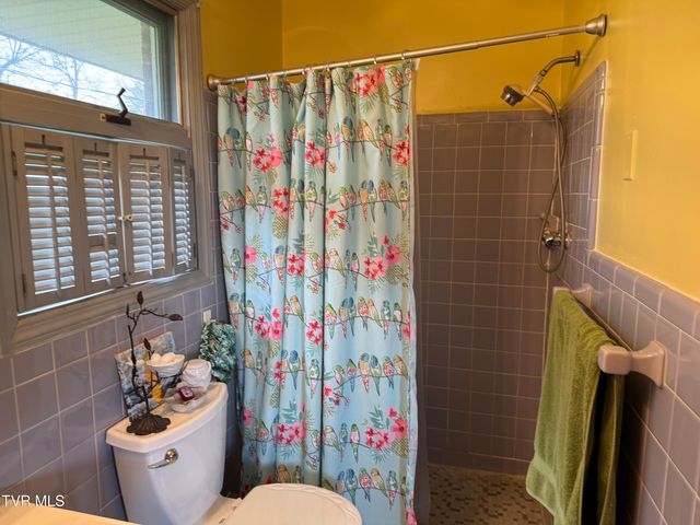 408 Forest Hills Drive, Kingsport, TN 37663