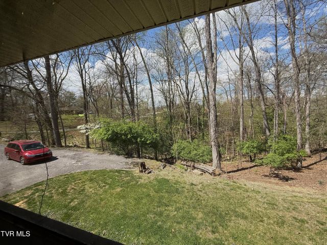 408 Forest Hills Drive, Kingsport, TN 37663