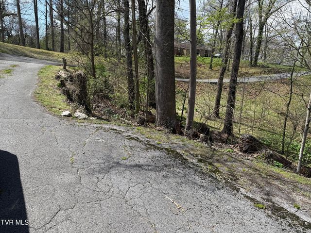 408 Forest Hills Drive, Kingsport, TN 37663