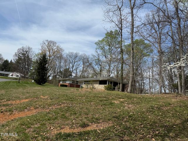 408 Forest Hills Drive, Kingsport, TN 37663