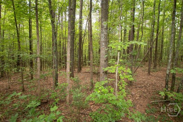 4321 Highway 186, Good Hope, GA 30641