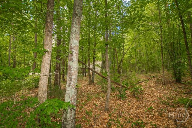 4321 Highway 186, Good Hope, GA 30641