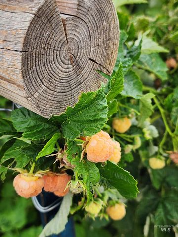 5800 Partridge Peak Ave, Caldwell, ID 83607