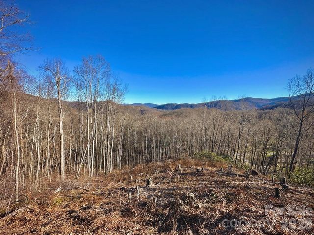 3 Mountain Watch Drive, Waynesville, NC 28785