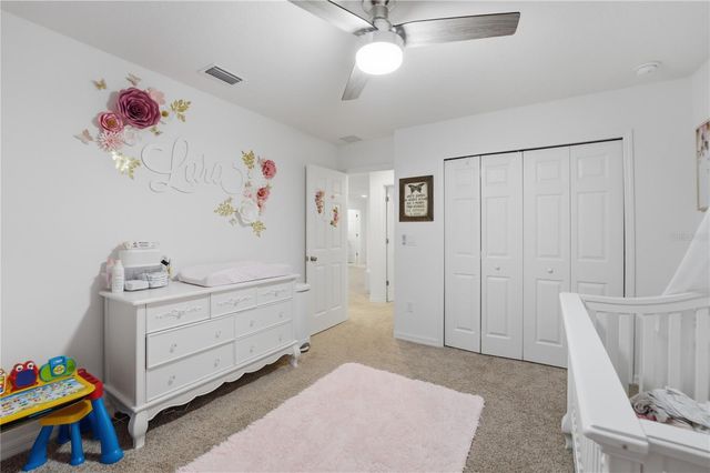 6825 WILSON HAMMOCK AVENUE, Groveland, FL 34736