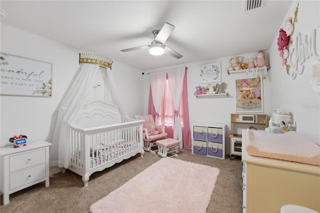 6825 WILSON HAMMOCK AVENUE, Groveland, FL 34736