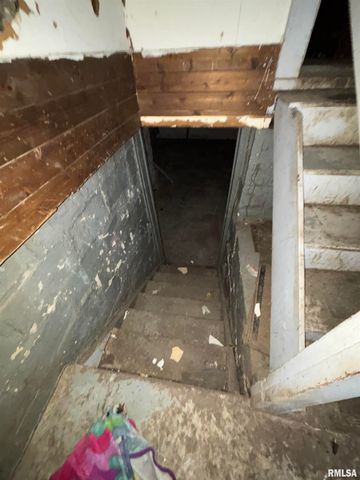 515 S MARY Street, Peoria, IL 61603