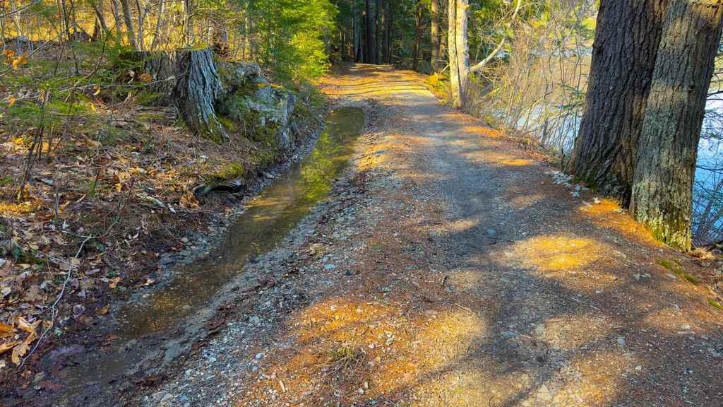 TBA Two Ponds Rd Road, Bridgton, ME 04009 — photo 5