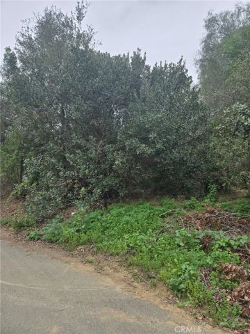 16872 Sumach, Chino Hills, CA 91709