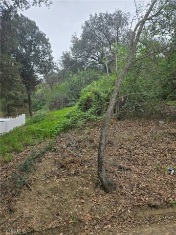 16872 Sumach, Chino Hills, CA 91709