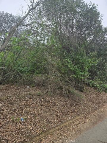 16872 Sumach, Chino Hills, CA 91709