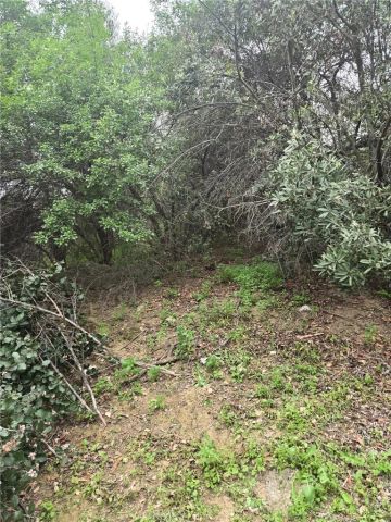 16872 Sumach, Chino Hills, CA 91709