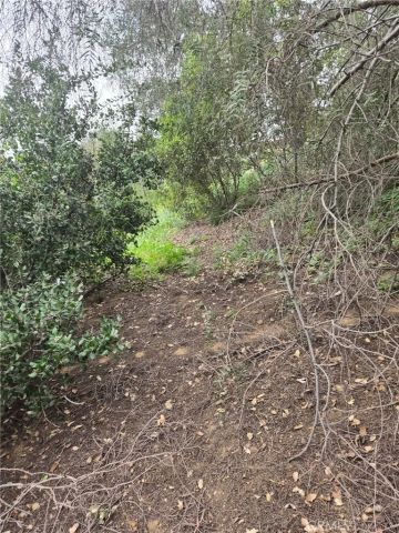 16872 Sumach, Chino Hills, CA 91709