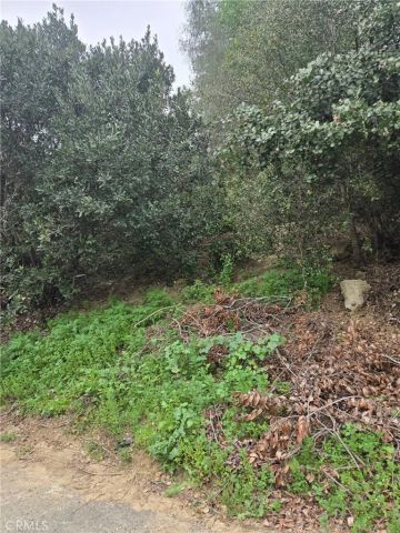 16872 Sumach, Chino Hills, CA 91709