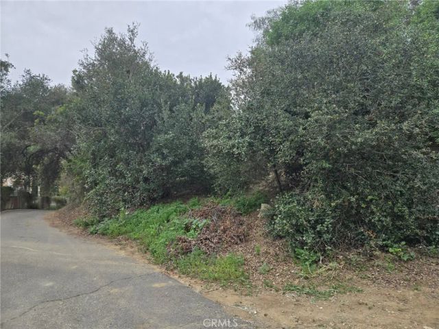 16872 Sumach, Chino Hills, CA 91709