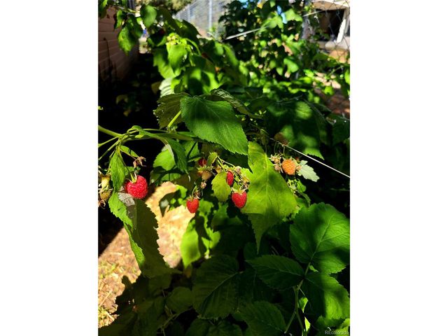 610 Hermosa St, Del Norte, CO 81132