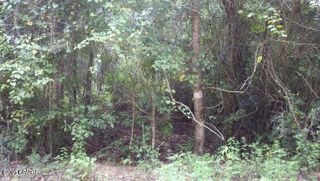 0 TJ Mitchell Road, Bonifay, FL 32425