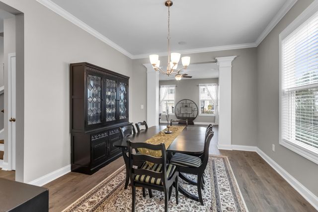 433 Turnstone Street, Mount Pleasant, SC 29464