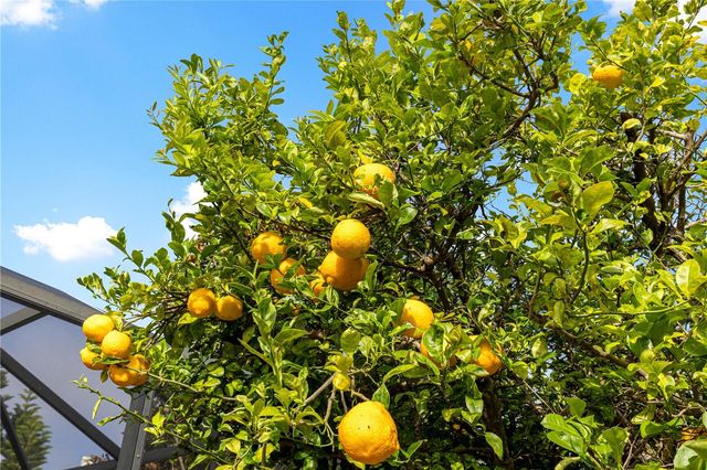 273 POMARIA PLACE, The Villages, FL 32162