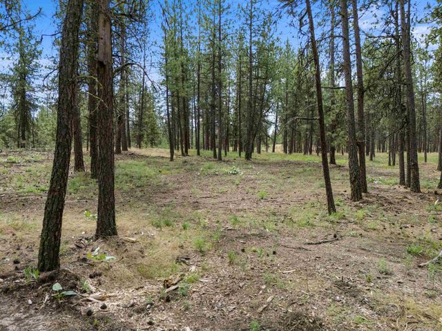 16423 S Maple Rd, Spokane, WA 99224