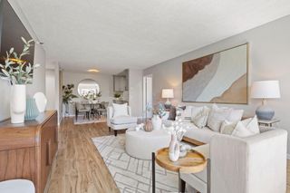 240 N Bayshore Boulevard 315, San Mateo, CA 94401