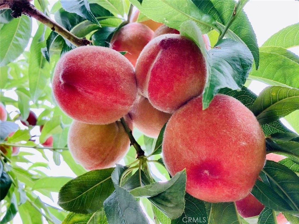 Image 53 of property listing at 2318 W 154th Street, Gardena, CA 90249