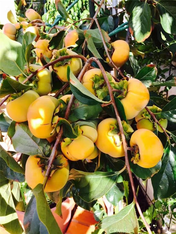 Image 54 of property listing at 2318 W 154th Street, Gardena, CA 90249