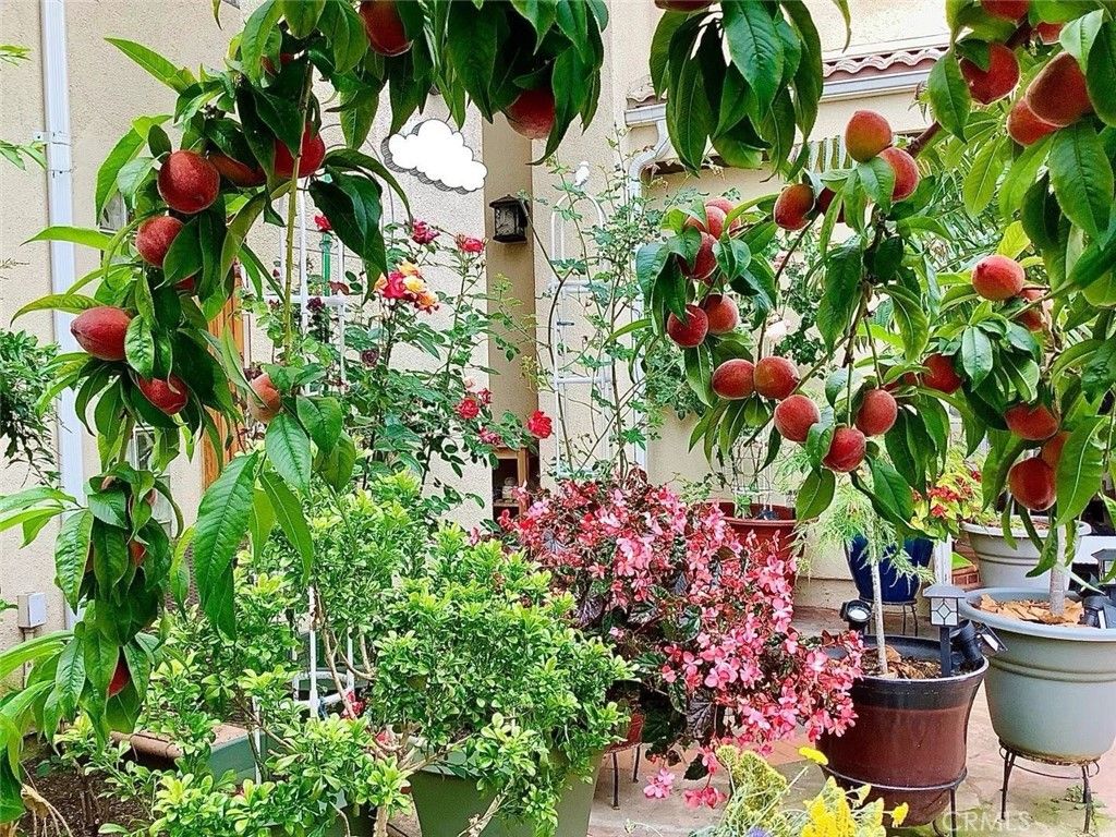 Image 55 of property listing at 2318 W 154th Street, Gardena, CA 90249