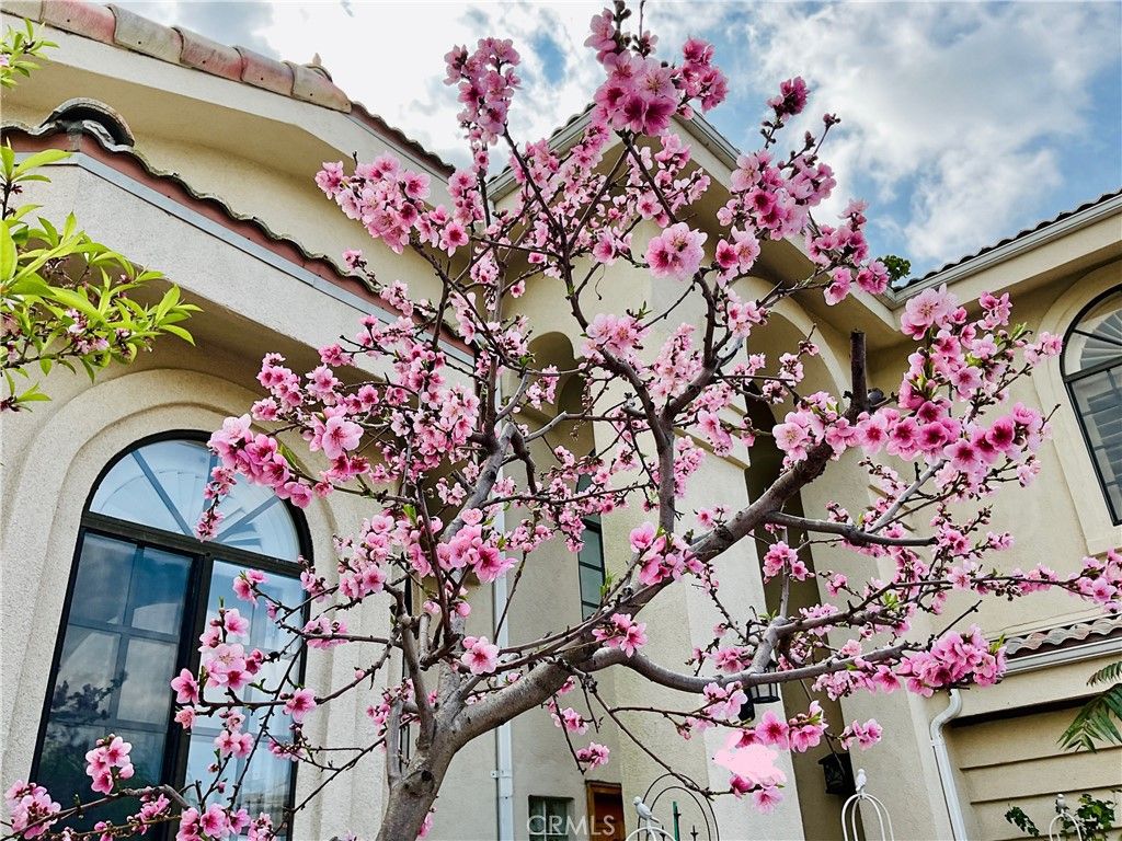 Image 56 of property listing at 2318 W 154th Street, Gardena, CA 90249