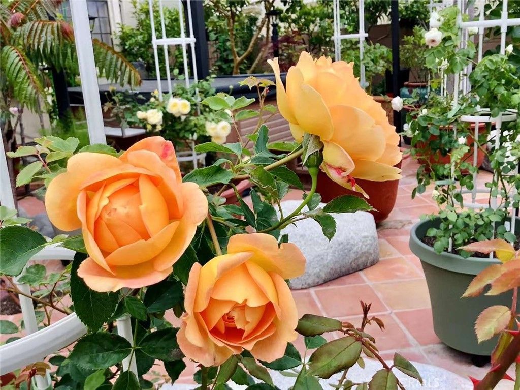 Image 57 of property listing at 2318 W 154th Street, Gardena, CA 90249