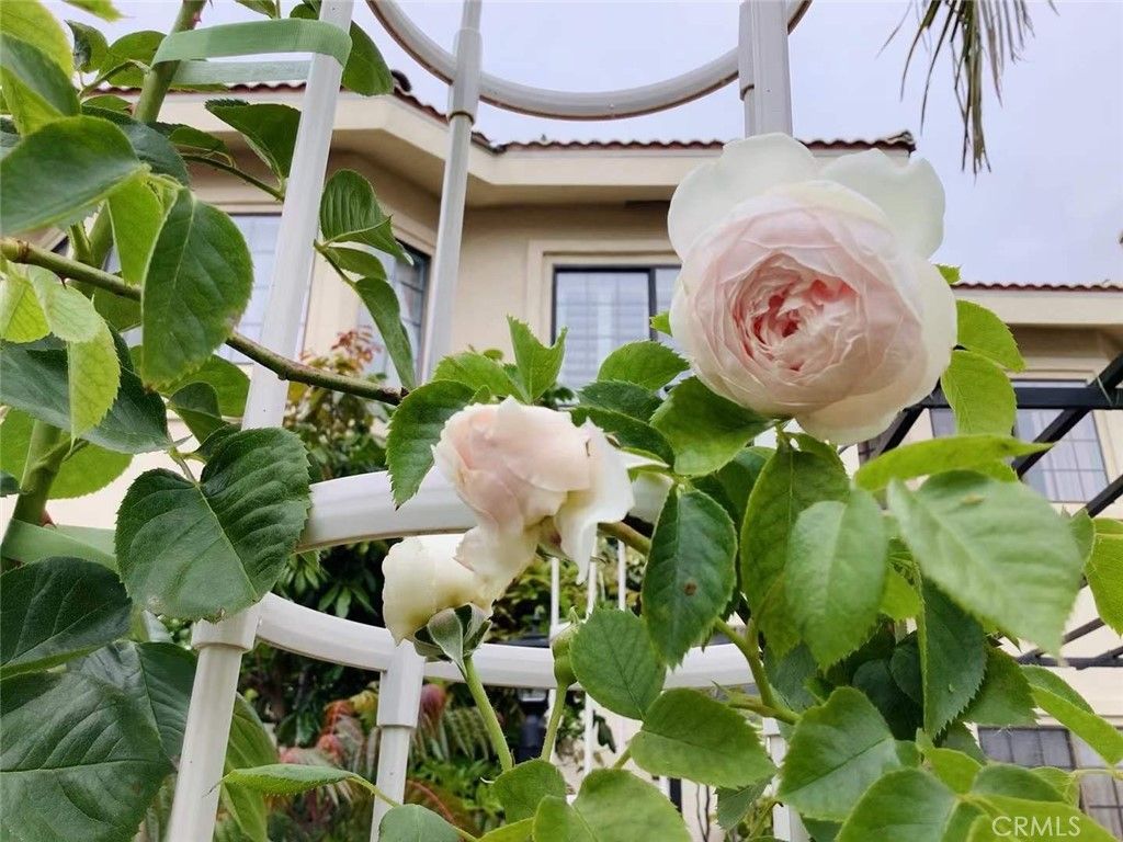 Image 58 of property listing at 2318 W 154th Street, Gardena, CA 90249