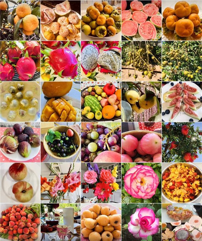 Image 62 of property listing at 2318 W 154th Street, Gardena, CA 90249