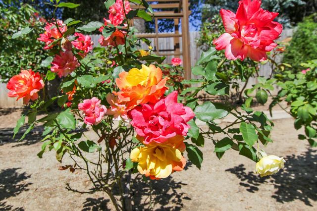 4201 Olga Ln, Fair Oaks, CA 95628