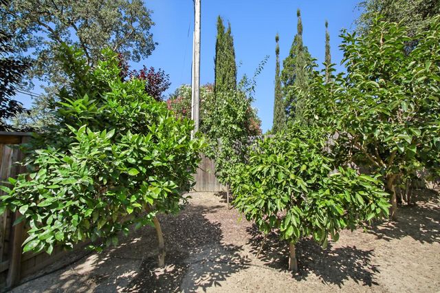 4201 Olga Ln, Fair Oaks, CA 95628