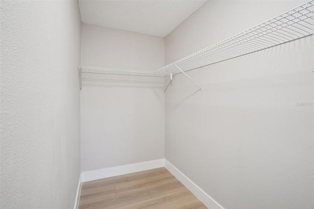 679 BONNIE BOULEVARD, Palm Harbor, FL 34684