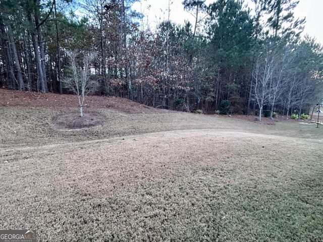 311 Honey Locust Court, Peachtree City, GA 30269