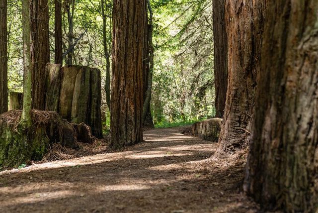 540 Cathedral Drive, Aptos, CA 95003