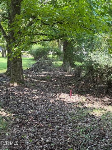 2865 Devault Bridge Road, Piney Flats, TN 37686