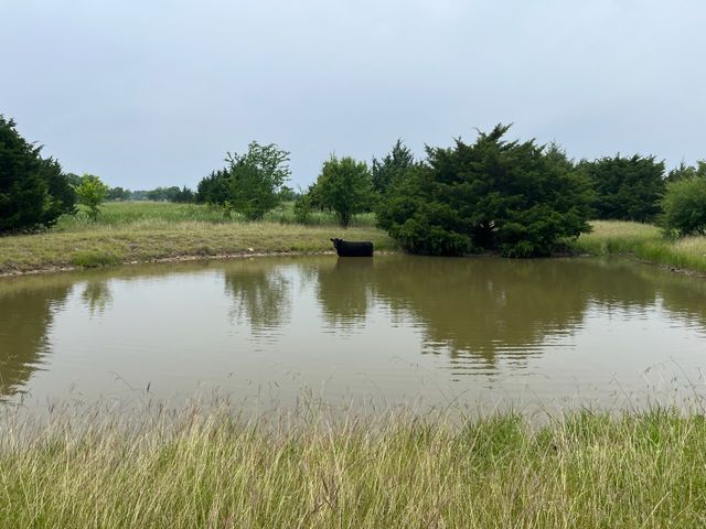 5250 County Road 304, Grandview, TX 76050
