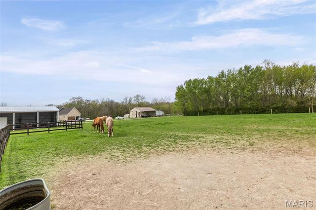 4837 Rocky Branch Road, Bethalto, IL 62010