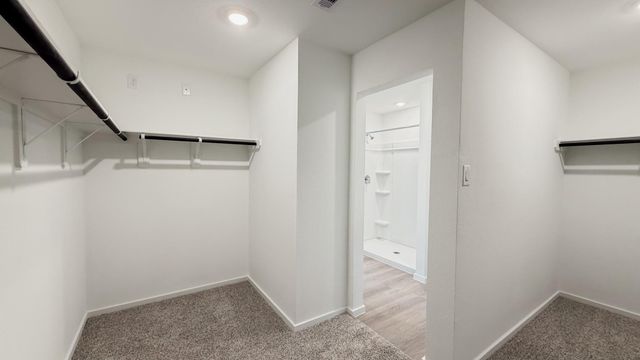 11631 Ruffian Drive, Willis, TX 77318