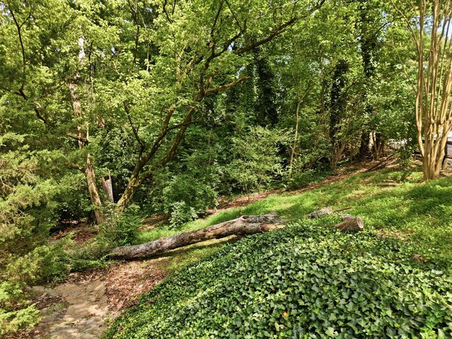 0 Mountain Wood Lane, Hixson, TN 37343
