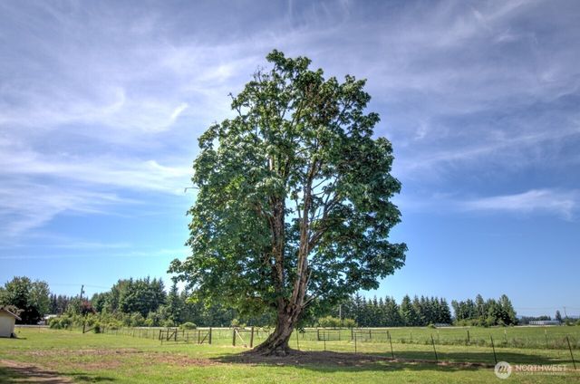 1959 US Hwy 12, Onalaska, WA 98570