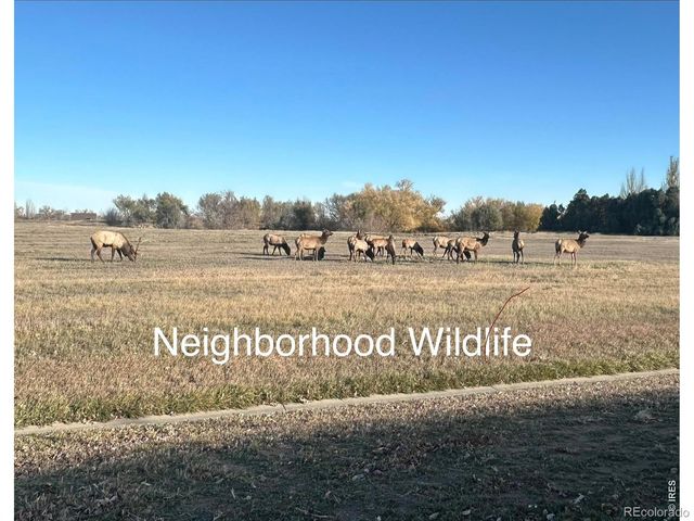 3453 Rhea Drive, Loveland, CO 80537