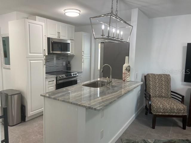 1009 SUMNER BLVD E, Safety Harbor, FL 34695